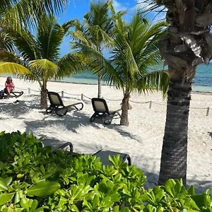 https://beachfront-loft-amara-cancun.quintano-roohotels.com