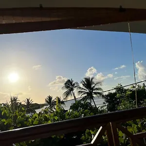 https://le-cosy-du-paletuvier.comcaribbean.com